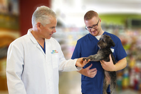 Preventative Care Tips from VIP Petcare