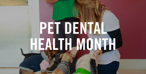February Is Pet Dental Health Month