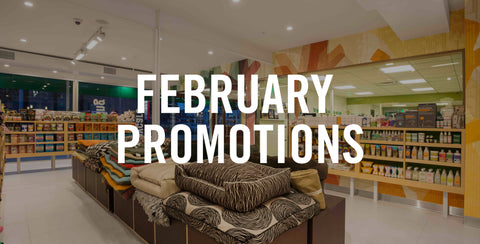 February In-Store Promotions