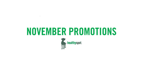 November In-Store Promotions