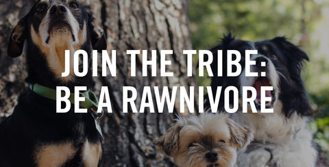 Start Feeding A Raw Diet And Join The Rawnivore Tribe!