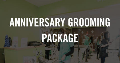 Anniversary Grooming Package