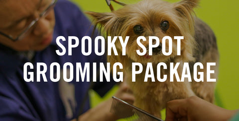 Spooky Spot Grooming Package
