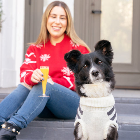Fun Ways to Celebrate the Holidays with Your Pup