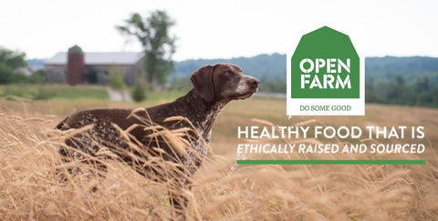 Open Farm: Ethically Raised and Sourced Farm-To-Table Pet Food