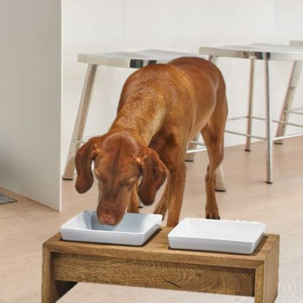 Bowsers Artisan Double Feeder Bamboo Dog Bowl HEALTHY SPOT