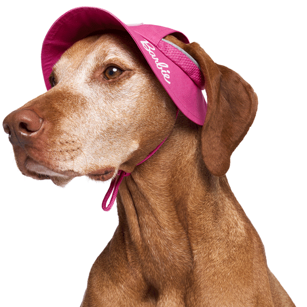 Barbie™ Bel Air Bucket Hat Pink – HEALTHY SPOT