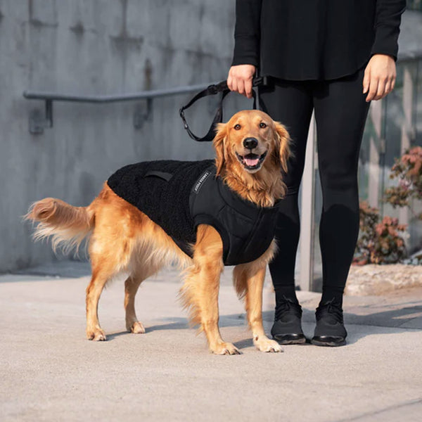 Canada Pooch Cool Factor Puffer Jacket Black – HEALTHY SPOT