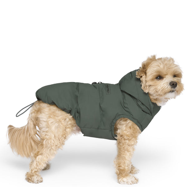 Canada Pooch The Waterproof Puffer Green – HEALTHY SPOT