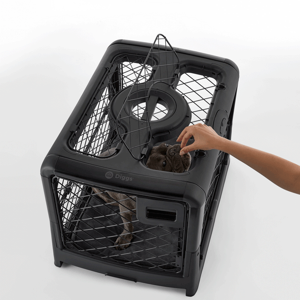 Diggs Revol Collapsible Dog Crate and Pad Set, Small