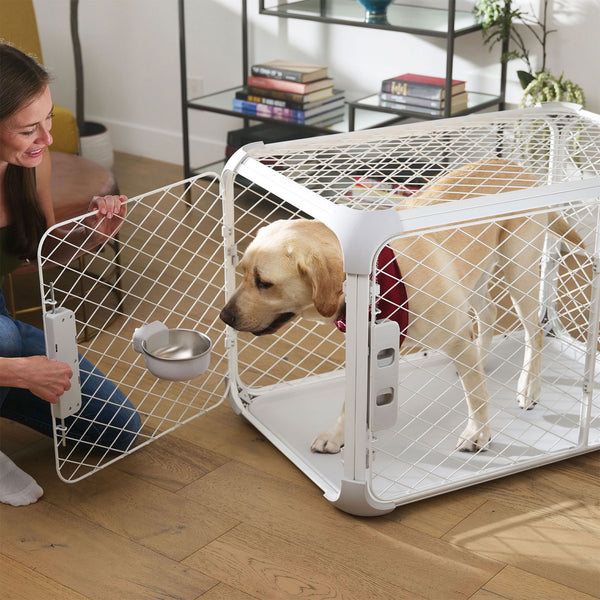 Pet crate bowl 2025