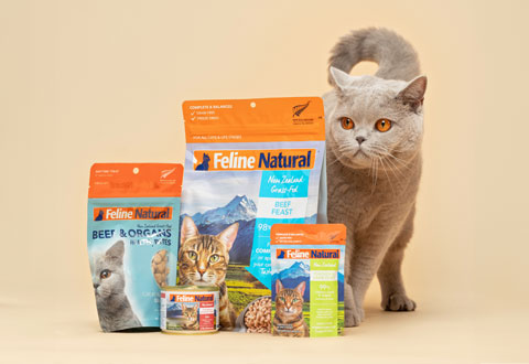Naturally Better Nutrition From New Zealand For Your Cat