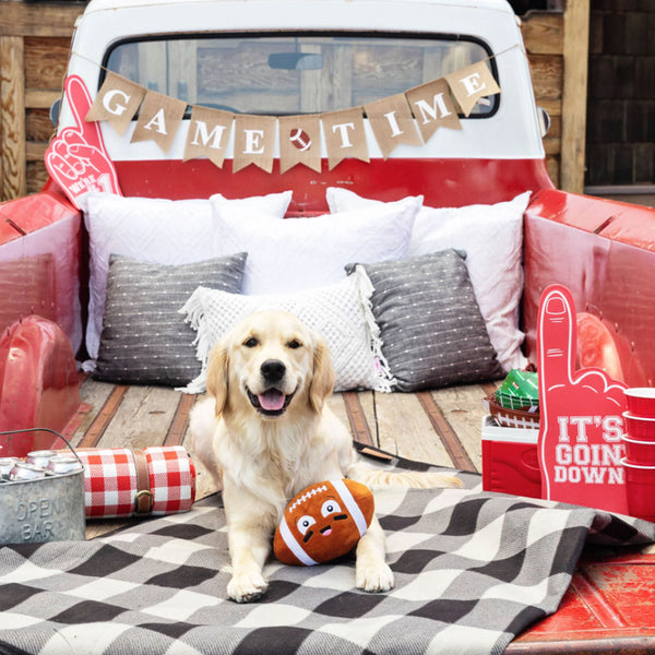 http://healthyspot.com/cdn/shop/files/Fringe_Football_Dog_Brown_Lifestyle_Image_grande.jpg?v=1694459733