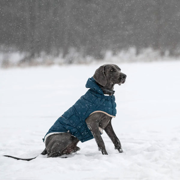 Elastofit dog jacket top