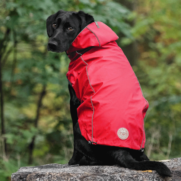 GF Pet Reversible Red Dog Rain Jacket HEALTHY SPOT