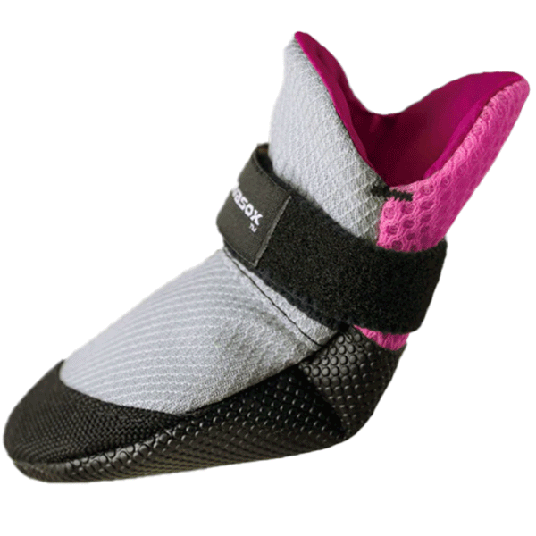 Lavasox Sorbet Urban Dog Booties HEALTHY SPOT