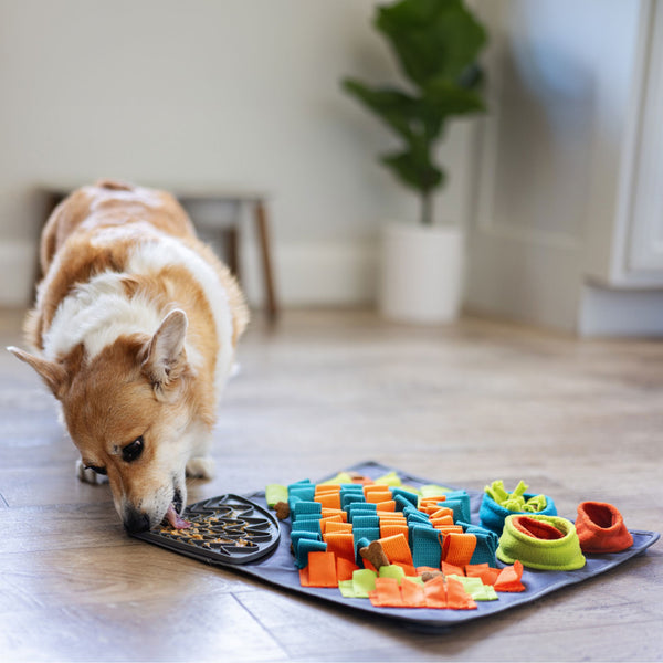Messy Mutts Square Forage Mat HEALTHY SPOT