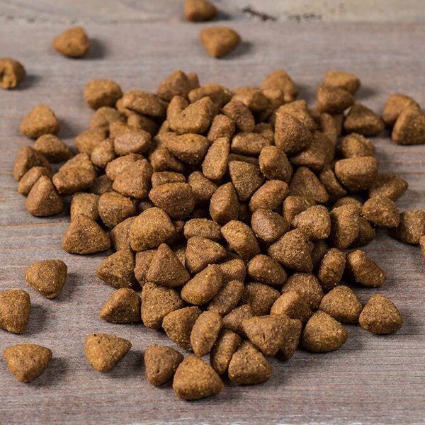 Guinea fowl dog food hotsell