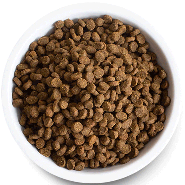 Open Farm Pasture Raised Lamb Dry Cat Food 4 lbs