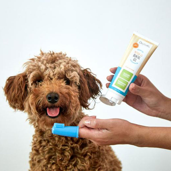 Oxyfresh Pet Toothpaste Finger Brush Kit Oxygene 4 oz