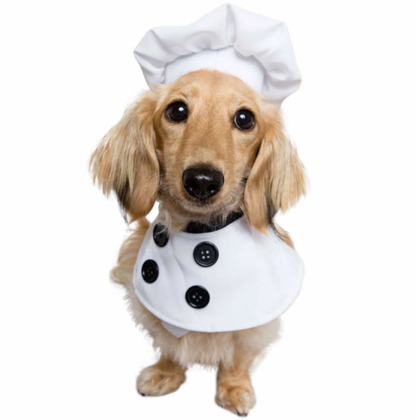 Pet Krewe Chef Costume HEALTHY SPOT