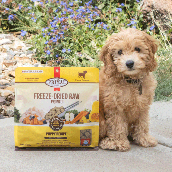 Primal Freeze Dried Puppy Pronto Dog Food 16 oz HEALTHY SPOT