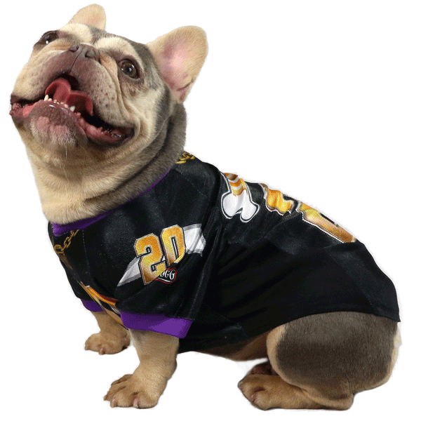 Snoop Doggie Doggs Deluxe Pet Jersey Off the Chain HEALTHY SPOT