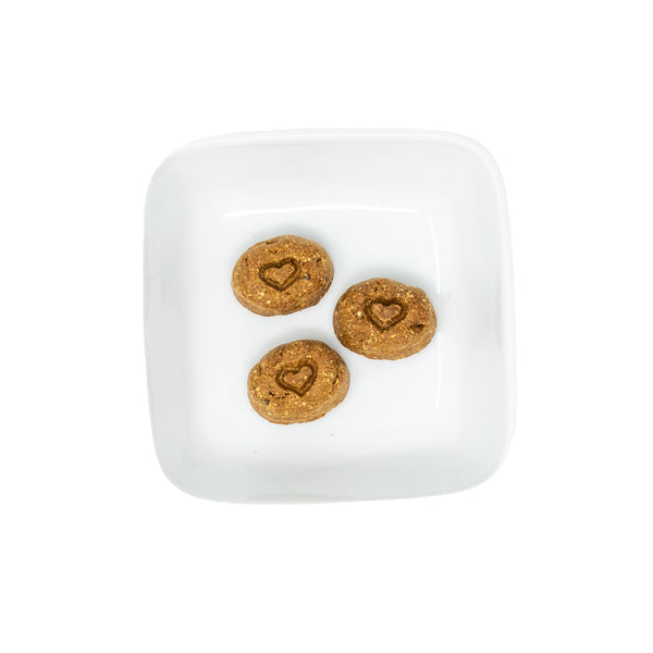 Stella Chewy s Duck Raw Coated Biscuits Dog Treats 9oz