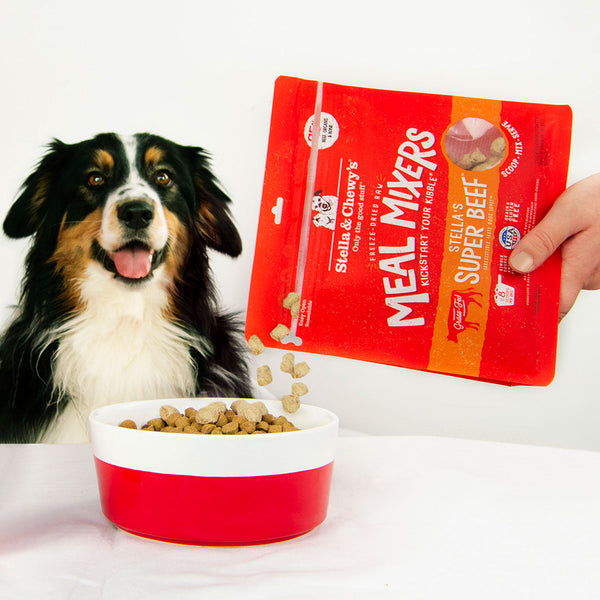 Stella & Chewy's Meal Mixers Beef Dog Food – HEALTHY SPOT