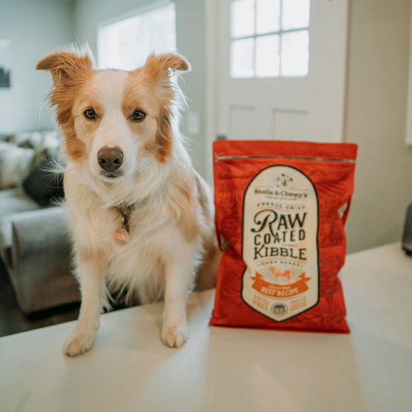 Chewy diabetic dog food store