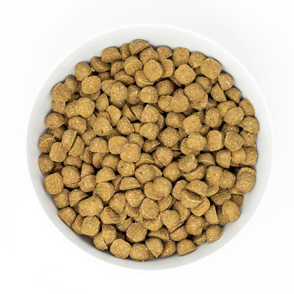 Stella & chewy's raw coated chicken online dog food