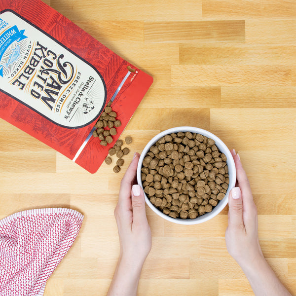 Stella Chewy's Raw Coated Grass-Fed Lamb Dog Kibble – HEALTHY SPOT