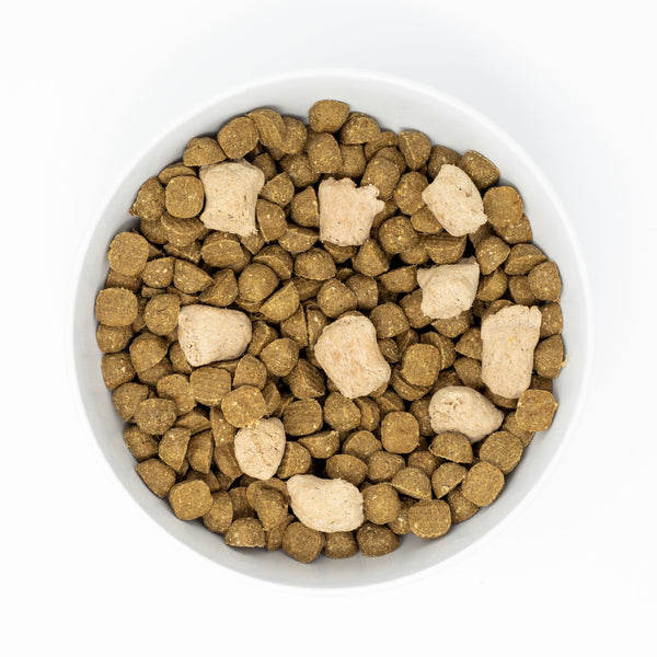 Stella & chewy's raw blend hot sale red meat recipe dog food