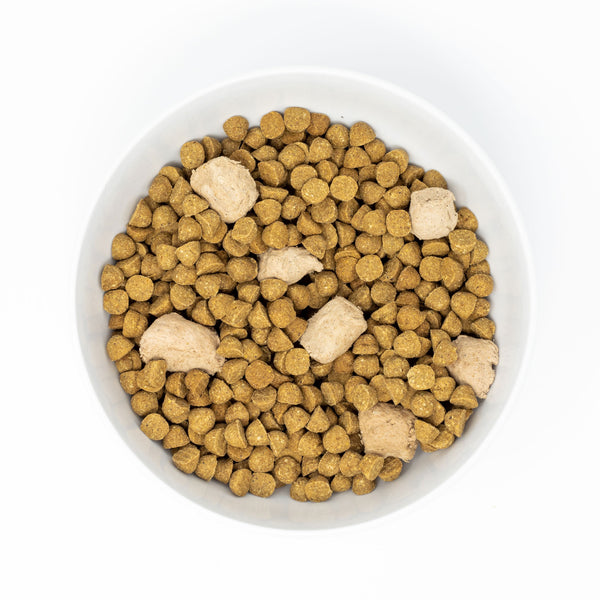 Stella and chewy sales small breed kibble