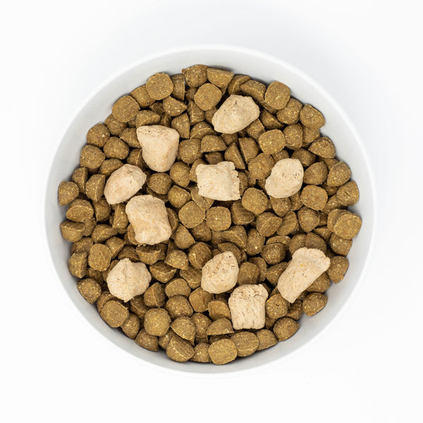 Stella & chewy's raw blend red meat recipe dog food top
