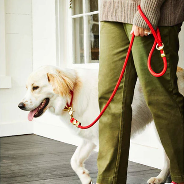 The Foggy Dog Rope Leash Ruby HEALTHY SPOT