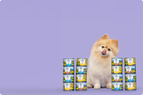 Slurp-Worthy wet food