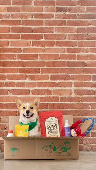 Don't Give Your Pet FOMO