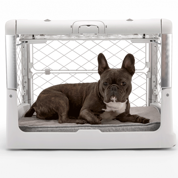 http://healthyspot.com/cdn/shop/products/Diggs_Revol_Collapsible_Dog_Crate_Ash_Lifestyle_Image_2_grande.gif?v=1664815439