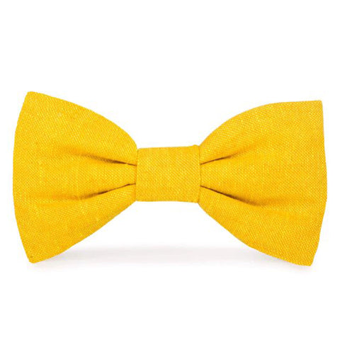 The Foggy Dog | Sunflower Yellow Dog Bowtie | Front Image