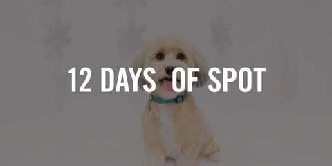 12 Days of Spot