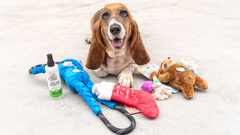 Howliday Gift Guide: Cheerful Chewer