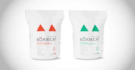Introducing Boxiecat: The CLEANEST Litter Box Experience