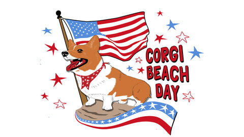 Summer Corgi Beach Day 2016 (Video)