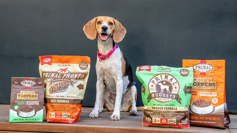 FDA Finds No Link Between DCM and Grain-Free Pet Diets