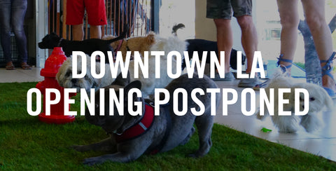 Downtown LA Opening Postponed