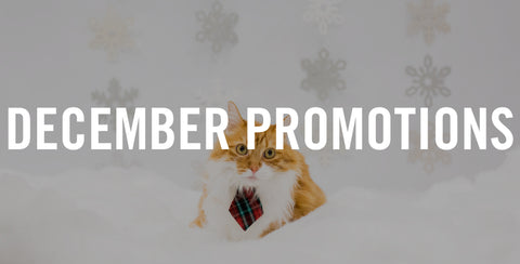 December In-Store Promotions