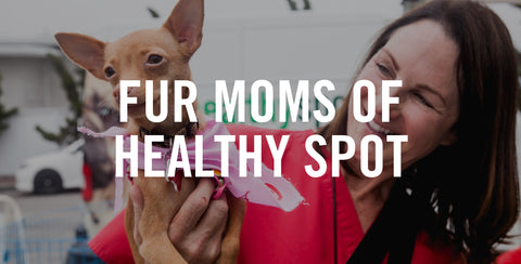 Fur Moms of Healthy Spot