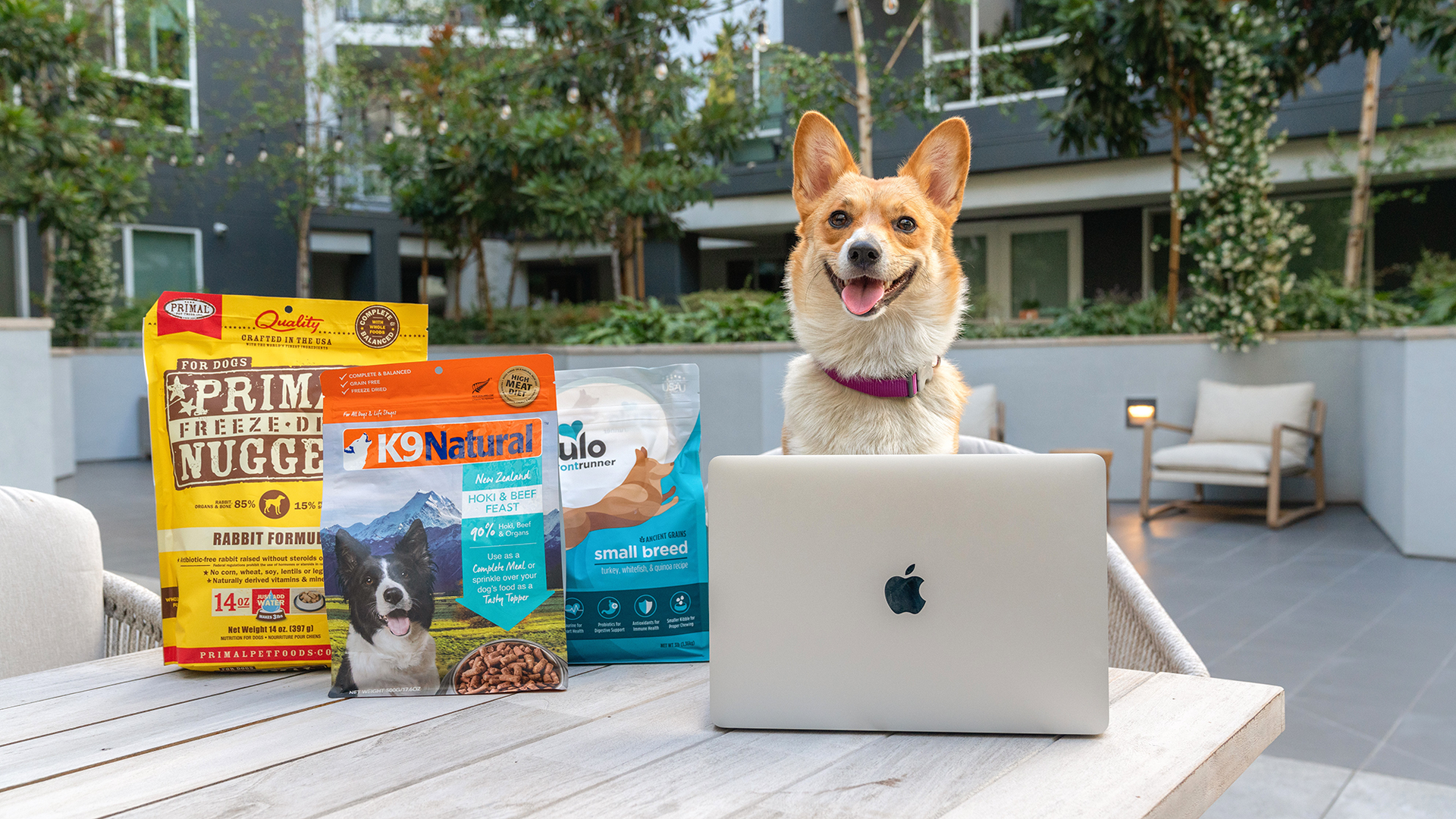 5 Signs It s Time To Switch Your Pet s Food HEALTHY SPOT