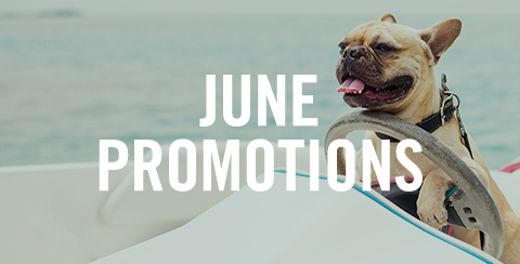 June Promotions